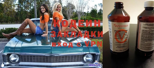 крисы Абаза